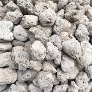 Nham Thạch Trắng/ Đá Lông Vũ | Vật Liệu Lọc Hồ Cá-Tạo Vi Sinh