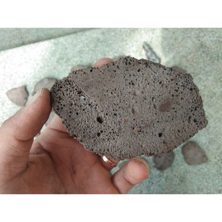Giá thể bucep- Giá thể nham thạch.