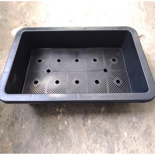 Khay Nhựa Trồng Rau Sạch Thông Minh 65x42x16cm (1 cái)