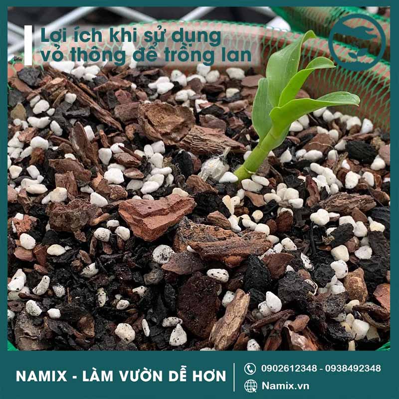 Đá Perlite trồng sen đá, hoa lan, ươm cây- đá nhẹ tơi xốp