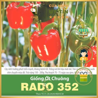 Hạt Giống Ớt Chuông Rado 352 (0,5gr)