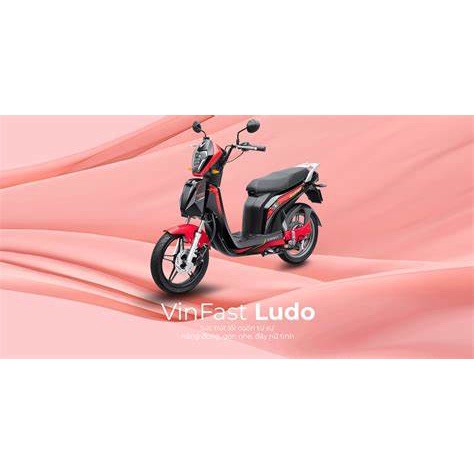 VỎ LỐP [ XE MÁY ĐIỆN VINFAST LUDO ] CTH 004-631-900