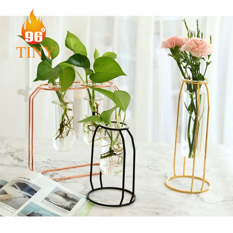 Lọ hoa thủy tinh trang trí để bàn, cắm hoa, trồng cây thủy sinh, sáng tạo không gian xanh, phong cách sang trọng