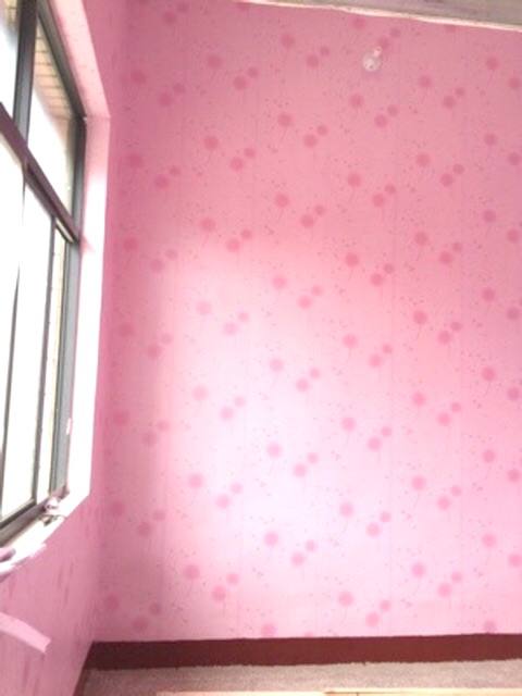 [Xã_sốc] Giấy dán tường bồ công anh hồng khổ rộng 45cm