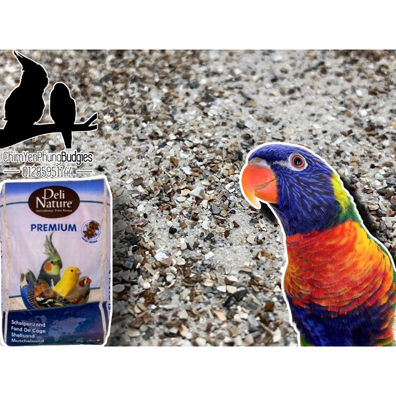 Khoáng DeliNature Premium Anise Aroma (vỏ hàu + cát trắng + hương hoa