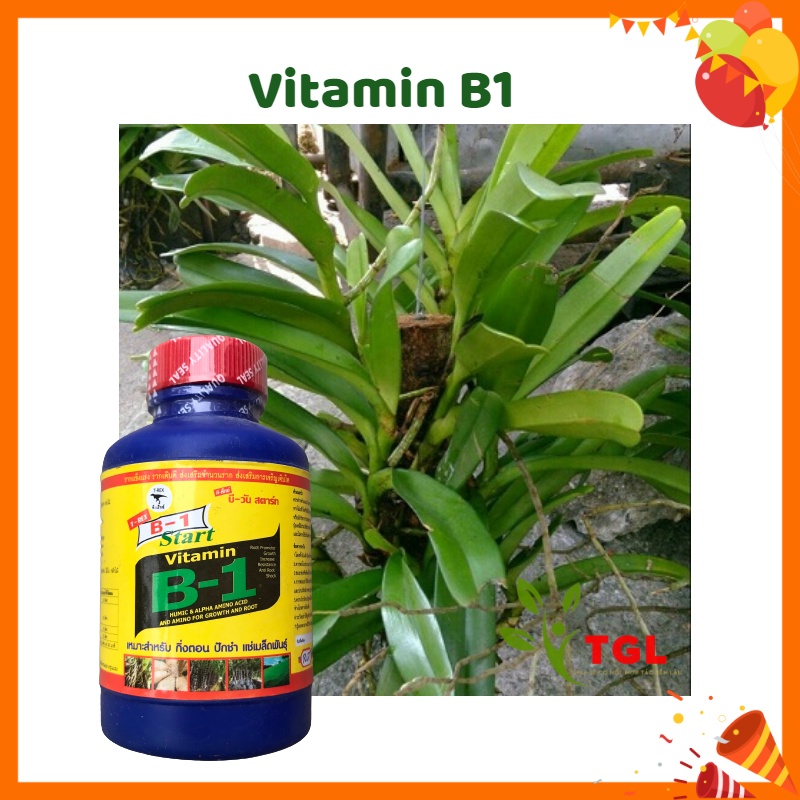 Phân Bón Kích Rễ, Phân Bón Vitamin B1 Thái Lan - Chai 100ml