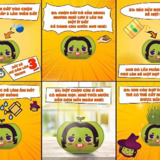 Bộ Cỏ Lúa Mì Tự Trồng Grass Kit Hình Sư Tử