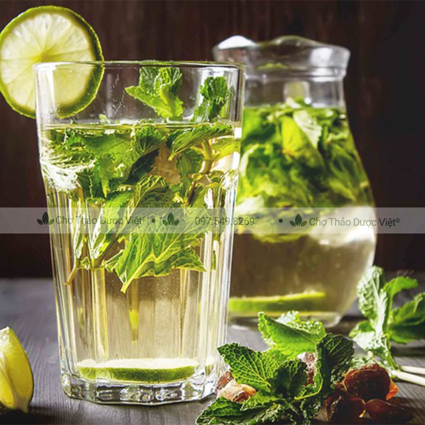 Lá bạc hà 500g (Bạc hà khô, thơm, sạch) - Chợ Thảo Dược Việt
