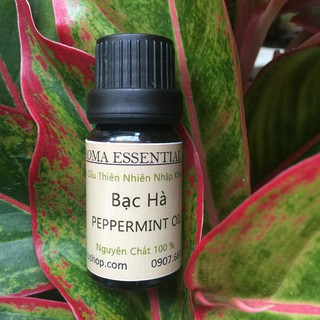 Tinh dầu hương thơm Bạc Hà Peppermint