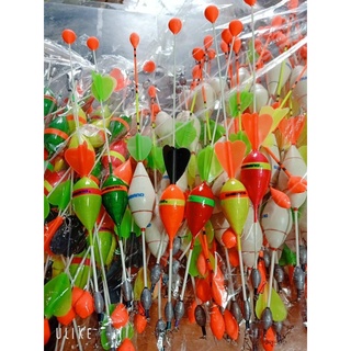 Phao lục chân chì - Phao lục ngày