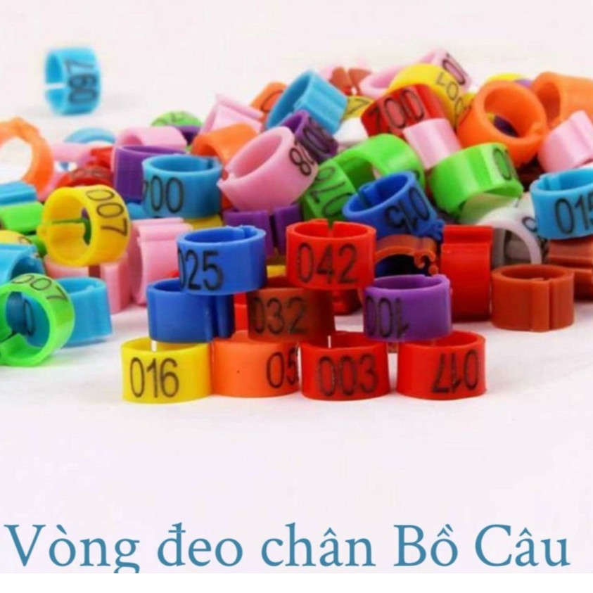 100 Vòng Đeo Chân Bồ Câu