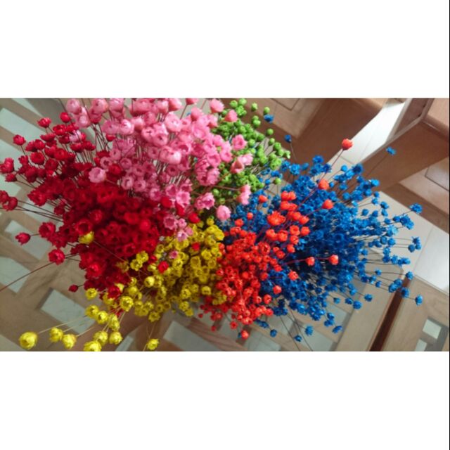 Combo110 Hoa tuyết nhiệt đới 1k/ 1 hoa khô