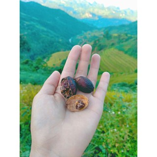 Thảo quả khô Tây bắc 400g