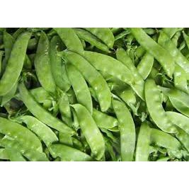 Hạt giống ĐẬu Hà Lan