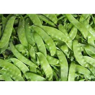 Hạt giống ĐẬu Hà Lan