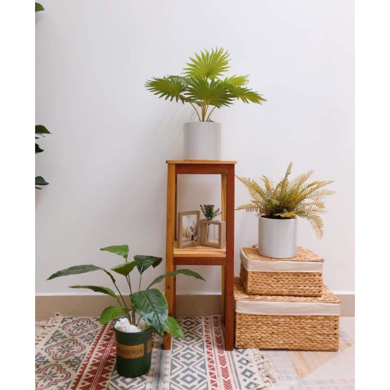 Khay Lục Bình  - Trang Trí và Decor Nhà Cửa