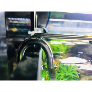 Sủi CO2 Inox Mufan