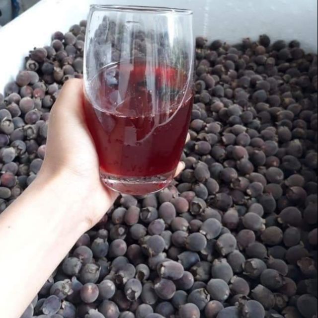 quả sim rừng khô 1 kg