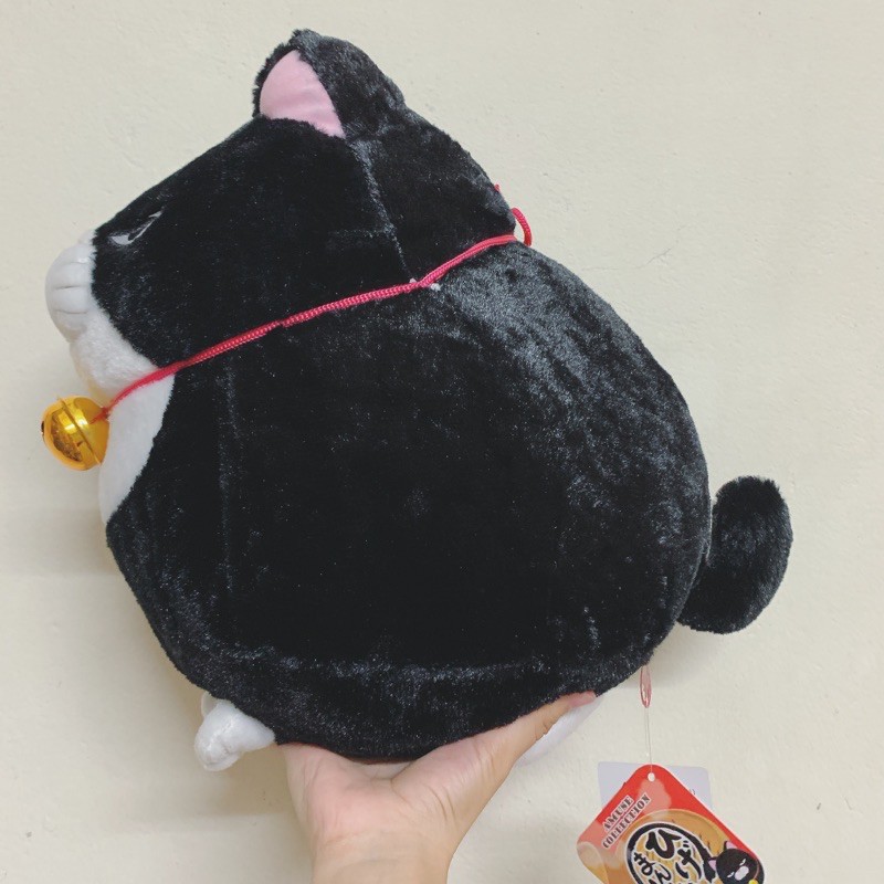 [TOREBA] Mèo Higemanju đeo chuông size 30cm