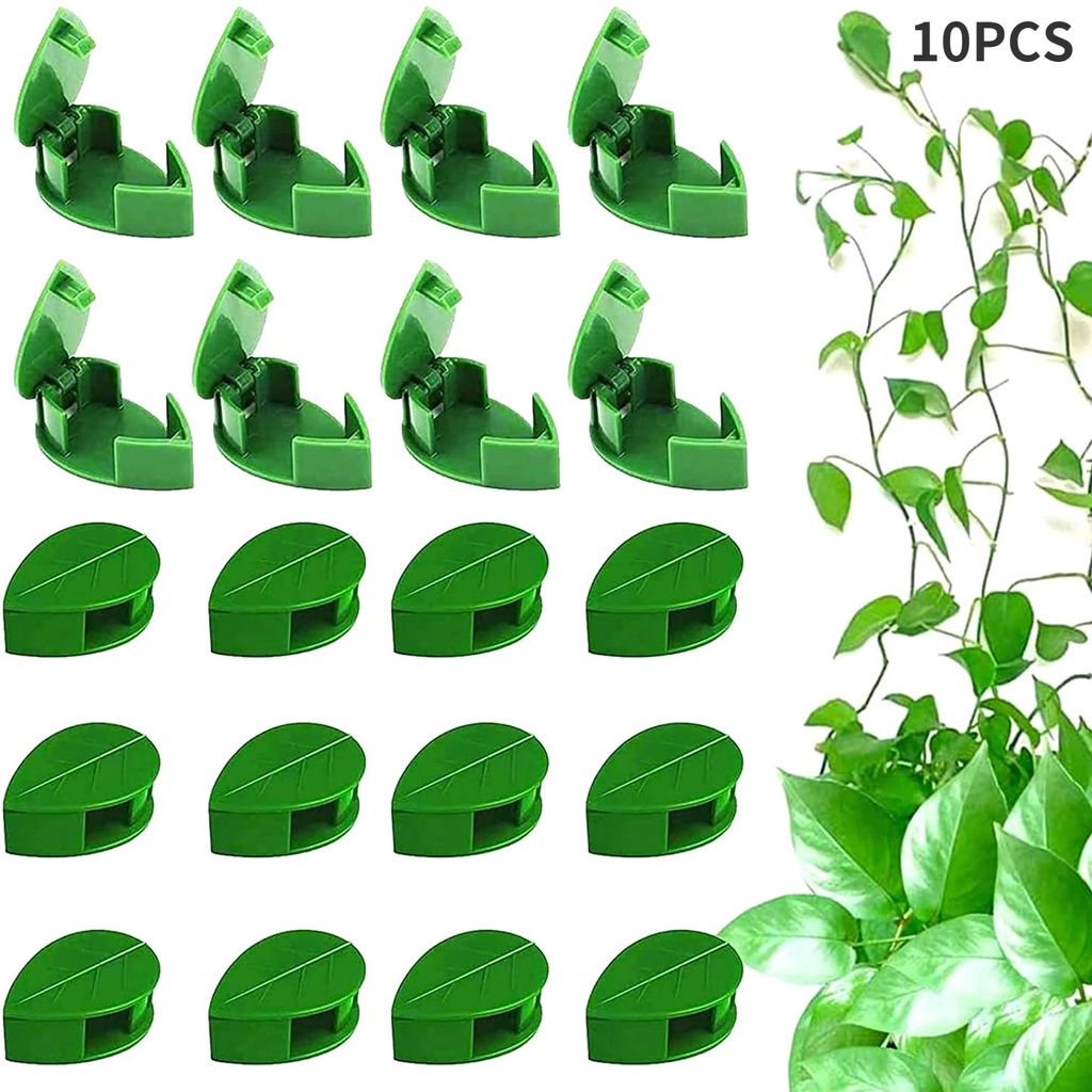Set 10 Giá Đỡ Cây Dây Leo Tự Dính Thân Thiện Với Môi Trường Không Cần Đóng Đinh Tiết Kiệm Không Gian
