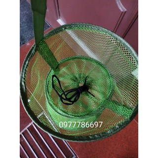giỏ đựng cá màu xanh