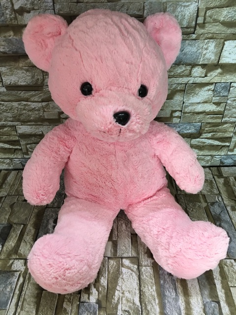 Gấu bông teddy các loại size 50-65cm tuỳ con