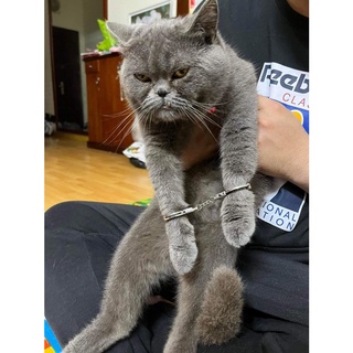 Móc khóa còng tay mini N01112
