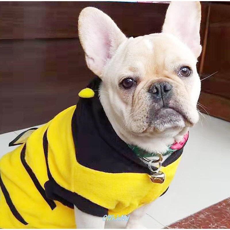 Áo cho thú cưng hình ong vàng bấm cúc có mũ dễ thương