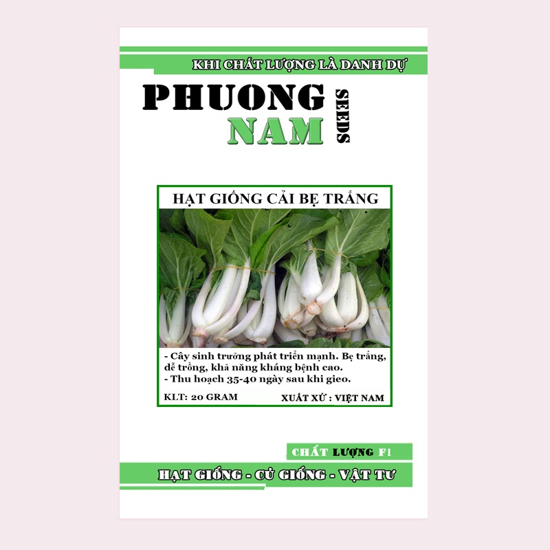 20GR - HẠT GIỐNG CẢI BẸ TRẮNG