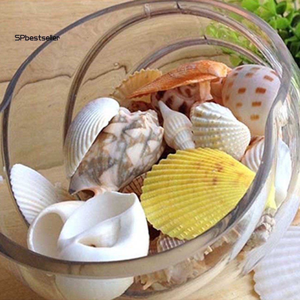 Vỏ Sò Dùng Trang Trí Bể Cá 100g