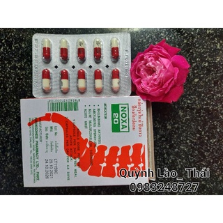 Bộ 12 hộp xương khớp Noxa Thái Lan chính hãng