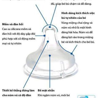 Núm ti pigeon nội địa nhật