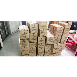 Thùng 50 Kem Semangka Dưa Hấu Aice