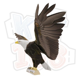 Mô hình giấy động vật chim đại bàng Bald Eagle