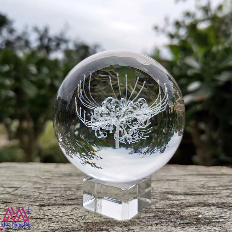 Bộ Quà Tặng Quả Cầu Pha Lê 3D LED hoa bỉ ngạn