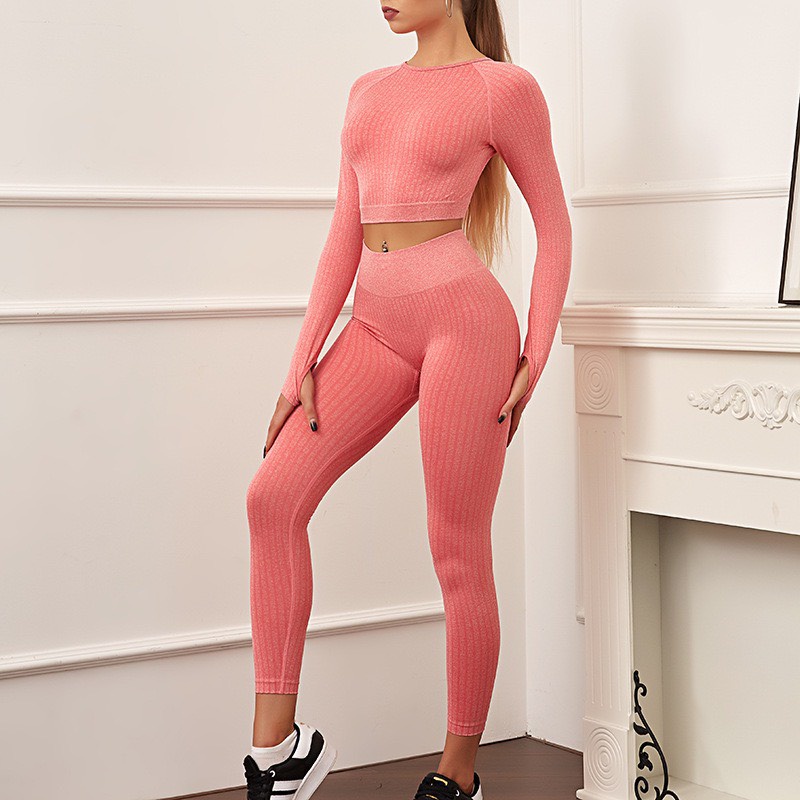 Set Đồ Tập Gym, Yoga, Aerobic VẢI DỆT KIM chất siêu co giãn thoải mái - Hàng Quảng Châu Cao Cấp (BT28)