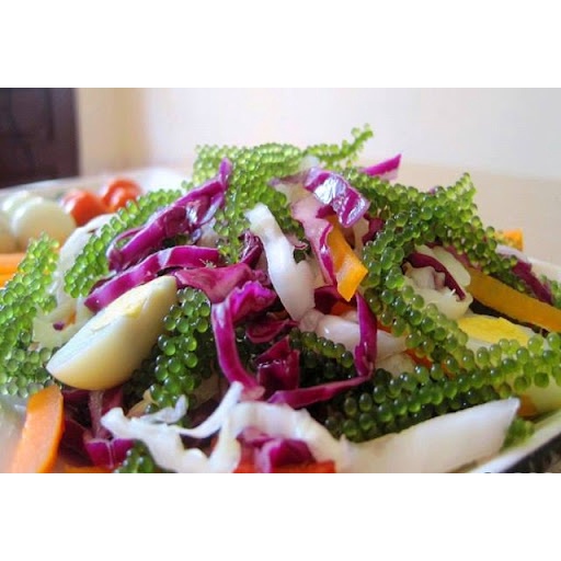 [5 GÓI 100G] - COMBO 5 GÓI RONG NHO TÁCH NƯỚC/ RONG NHO BIỂN/ SẢN PHẨM TỐT CHO SỨC KHỎE