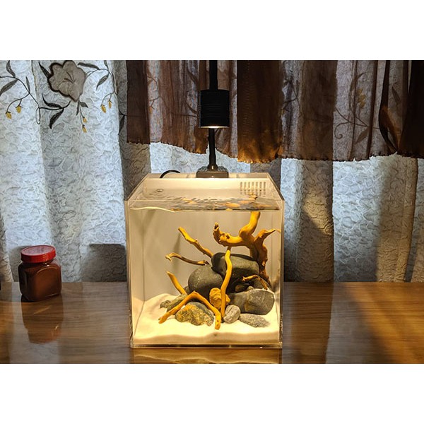 Bể cubic, hồ cubic Acrylic vuông size 10x10x10cm Ebivn - có độ trong suốt cao rất đẹp
