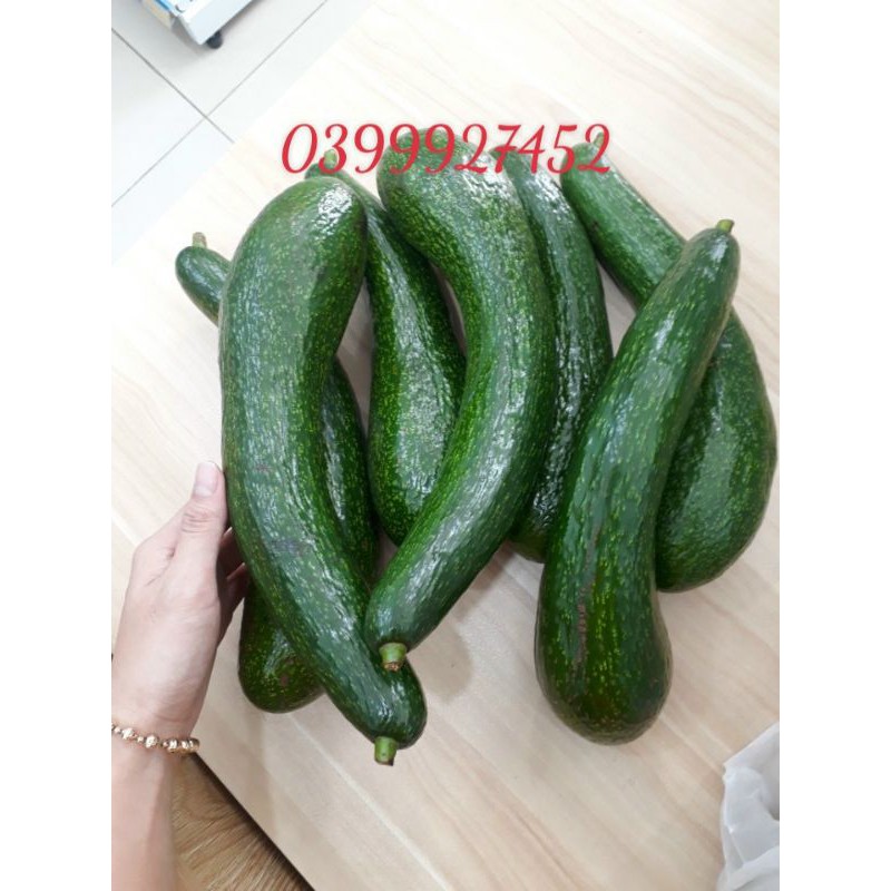 3KG BƠ 034 ( size 2-3 trái 1kg)