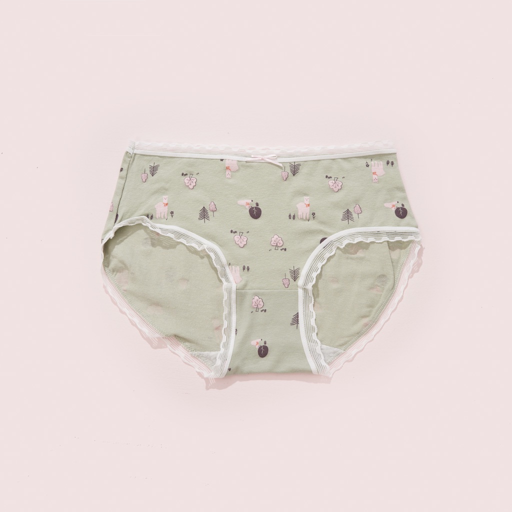 SET 5 Quần Lót Nữ Cotton Sbra Họa Tiết Cute Viền Ren Mềm Mịn Không Lộ Thấm Hút QC38