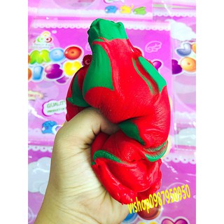 SQUISHY QUẢ THANH LONG