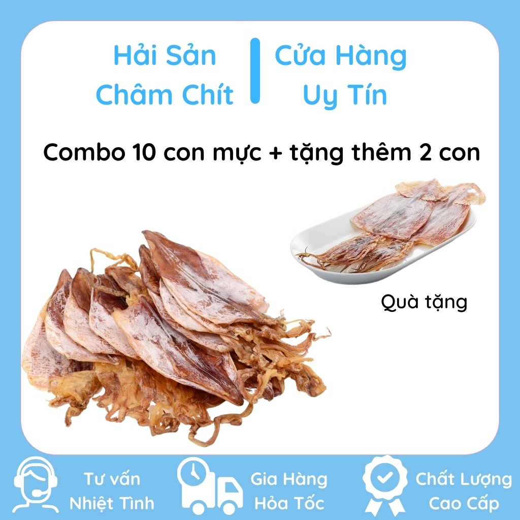 Combo 10 con mực khô + tặng thêm 2 con