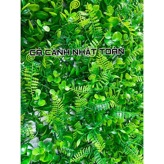 THẢM CỎ DƯƠNG SỈ NHÂN TẠO TRANG TRÍ BỂ CÁ, TIỂU CẢNH 60X40CM
