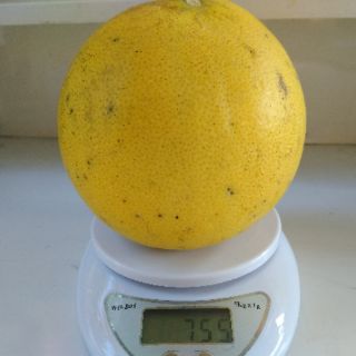 BƯỞI DIỄN SỊN ( BAO NGỌT)