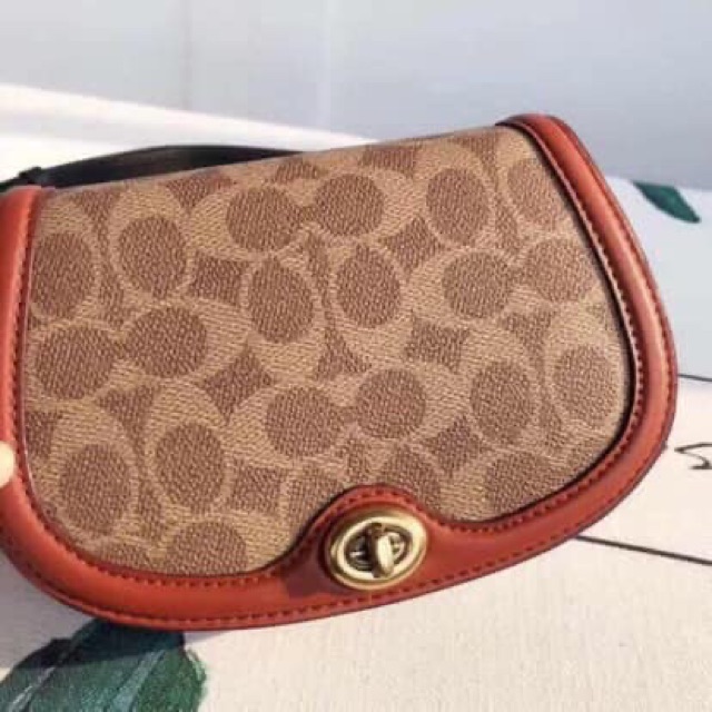 Túi BELTBAG COACH SADDLE COLORBLOCK