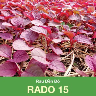 Hạt Giống Rau Dền Đỏ RADO 15 gói 20gr Dễ trồng, Tốt cho sức khỏe
