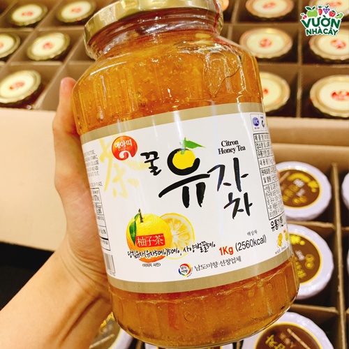 Mật Ong Chanh Hàn quốc Lọ 1kg- TỔNG KHO NGUYÊN LIỆU PHA CHẾ