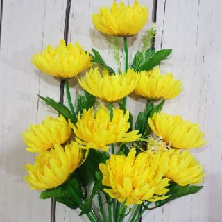 Cành hoa cúc vàng