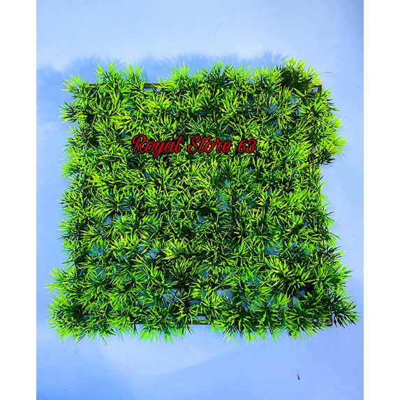 Thảm cỏ Thiên Lý nhân tạo lót nền, trang trí bể cá, tiểu cảnh