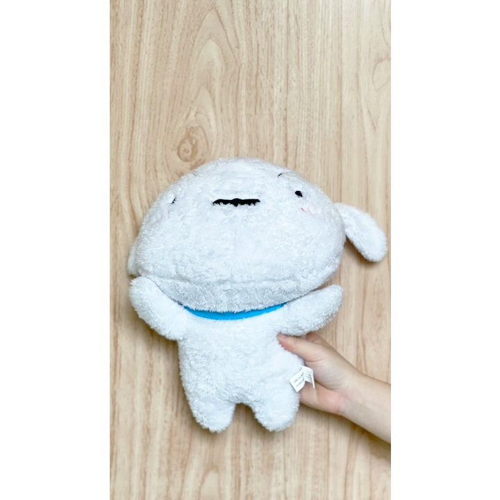 Chó tuyết bạn ku shin